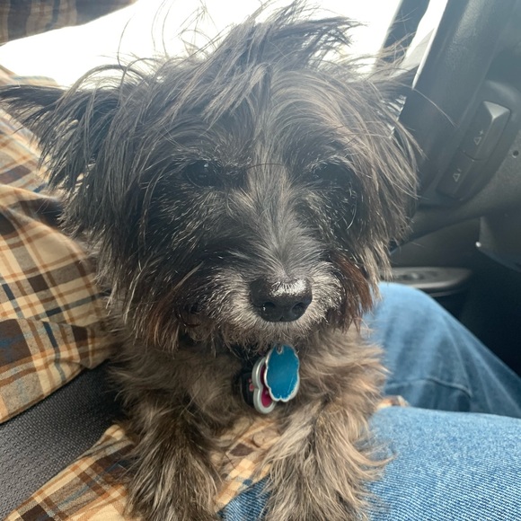 Meet your Posher, Martin - Picture 1 of 1